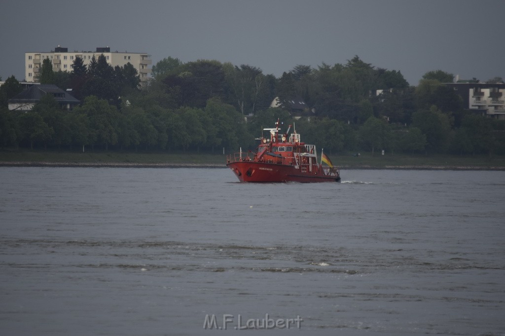 PRhein Koeln Porz Ensen Schwimmer untergegangen P155.JPG - Miklos Laubert